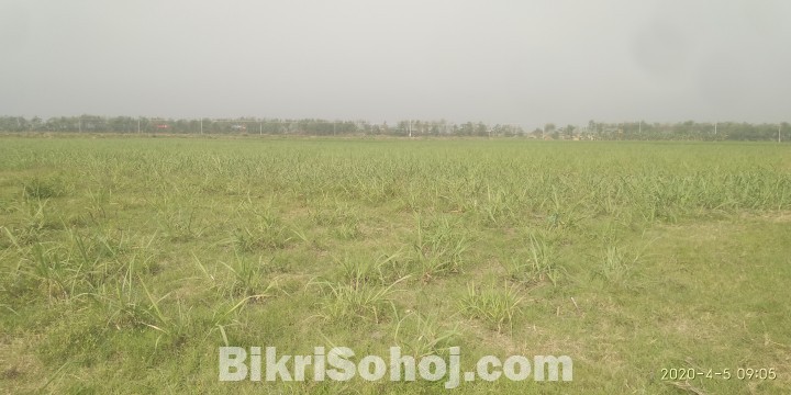 Land Sale জমি বিক্রি শিক্ষক পল্লীতে